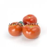 Томат ЗУЛЬФИЯ F1 (1000 семян) (NS) Rijk Zwaan